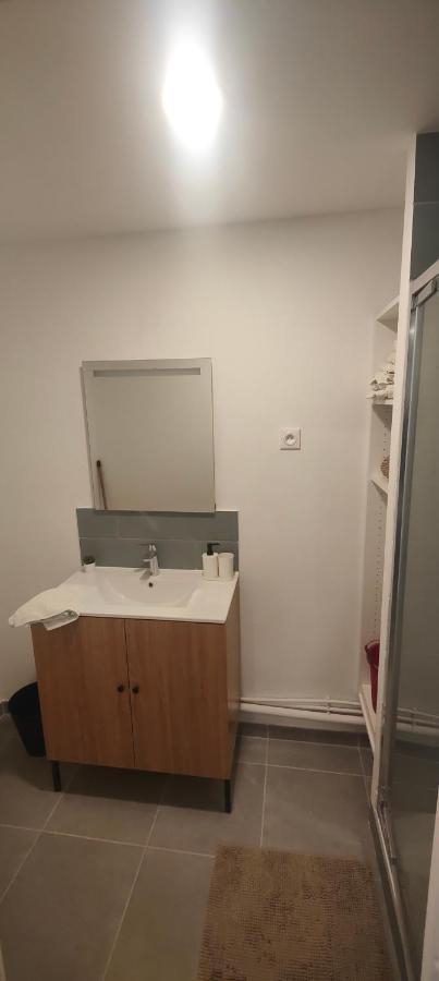 Grand Studio Proche De Paris Saint-Maur-des-Fossés Esterno foto